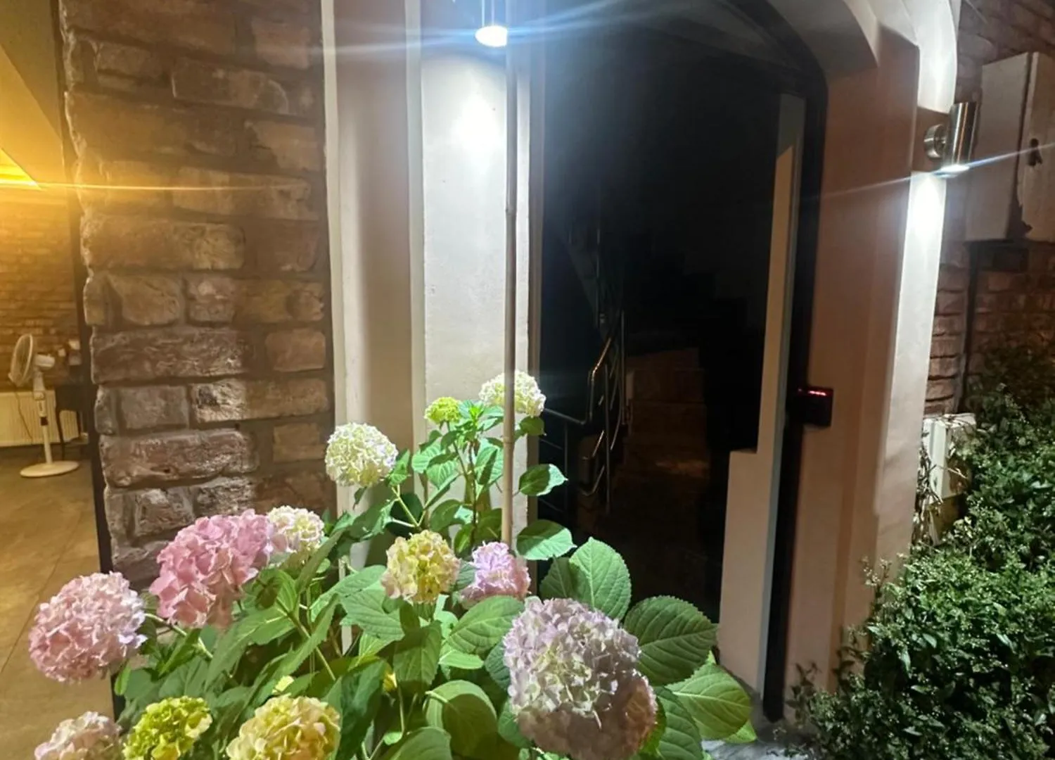 Lejlighedshotel Sevil Star Hotel Istanbul